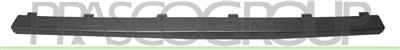 FRONT BUMPER MOLDING-CENTRE-GRAY