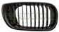 RADIATOR GRILLE RIGHT-BLACK