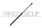 REAR HATCH WINDOW GAS SPRING - 305 N - L 554,5 MM - C 229 MM - Ø 18 MM - Ø 8 MM