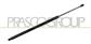 TAILGATE GAS SPRING RIGHT/LEFT - 970 N - L 755 mm - S 225 mm - Ø 27 mm - Ø 10 mm